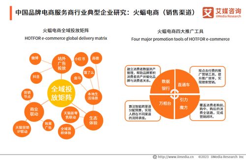 2023年中國(guó)品牌電商服務(wù)商行業(yè)研究報(bào)告 信息技術(shù)咨詢服務(wù)分析